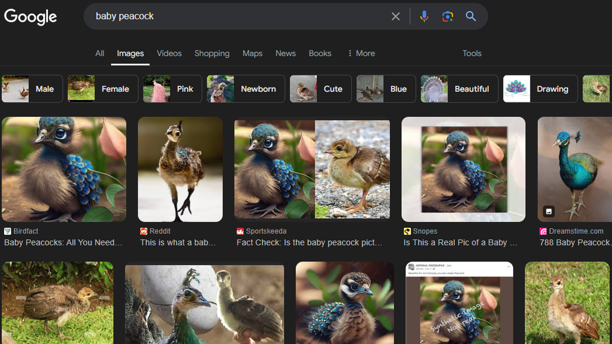 Google Image results filled with AI images, users complain